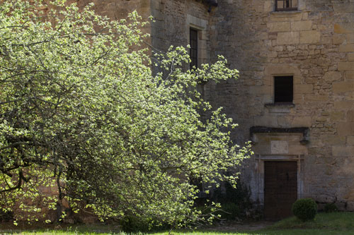 Cour de ferme à Saint Léon sur Vézère - Sarlat - © Norbert Pousseur