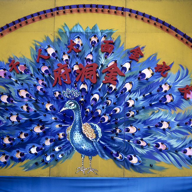 Paon bleu pour annoncer le jour anniversaire du Jin Mian Dà Rén de Singapour en 1989 - © Norbert Pousseur