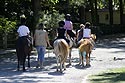 Ballade en poney - St-Quentin - © Norbert Pousseur