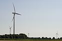 Eoliennes au desus des champs de maïs - St-Quentin - © Norbert Pousseur