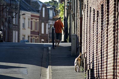 Chien suivant son maître - St Quentin dans l'Aisne - © Norbert Pousseur