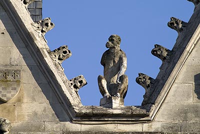 Statue de singe - St Quentin dans l'Aisne - © Norbert Pousseur
