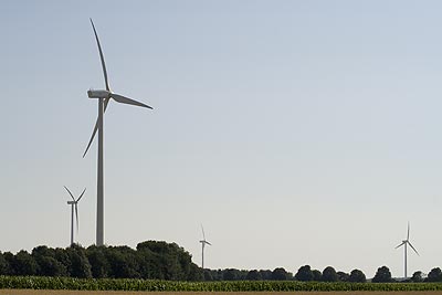 Eoliennes au desus des champs de maïs - St Quentin dans l'Aisne - © Norbert Pousseur