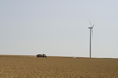 Eolienne dans champ de blé - St Quentin dans l'Aisne - © Norbert Pousseur