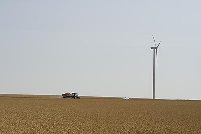 Eolienne dans champ de bl� - St Quentin dans l'Aisne - © Norbert Pousseur