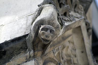 Tête de singe - St Quentin dans l'Aisne - © Norbert Pousseur