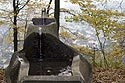 Fontaine de bois dans les bois - Brugg en Suisse - © Norbert Pousseur