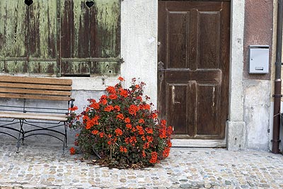 Porte fleurie - Brugg en Suisse - © Norbert Pousseur