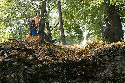 Travaux d'automne - Brugg en Suisse - © Norbert Pousseur