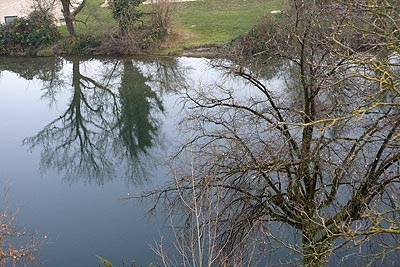 Les bords de l'Aare - Brugg en Suisse - © Norbert Pousseur