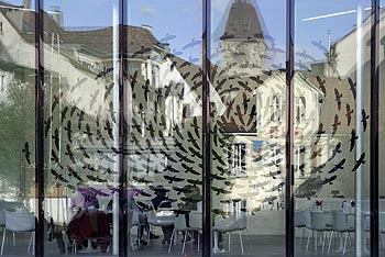 Reflet de place et tourbillon d'oiseaux - Aarau - © Norbert Pousseur