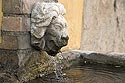Tête de lion de  fontaine - © Norbert Pousseur