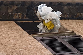 Bouquet de sacs de plastique pendus à la fenêtre - © Norbert Pousseur - © Norbert Pousseur