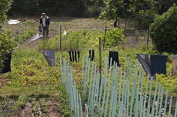 Un jardin potager d'une maison de Trans - © Norbert Pousseur - © Norbert Pousseur