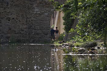 Passage sous un des ponts sur la Nartuby à Tarns - © Norbert Pousseur - © Norbert Pousseur