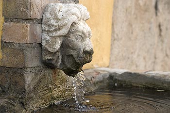 Tête de lion de  fontaine - © Norbert Pousseur - © Norbert Pousseur