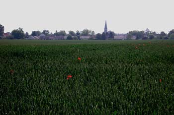 Champ de blé devant Villeneuve le Comte - © Norbert Pousseur